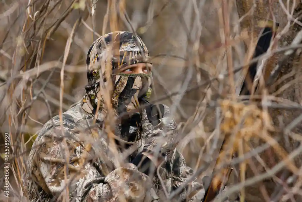 deer hunting and bow sights