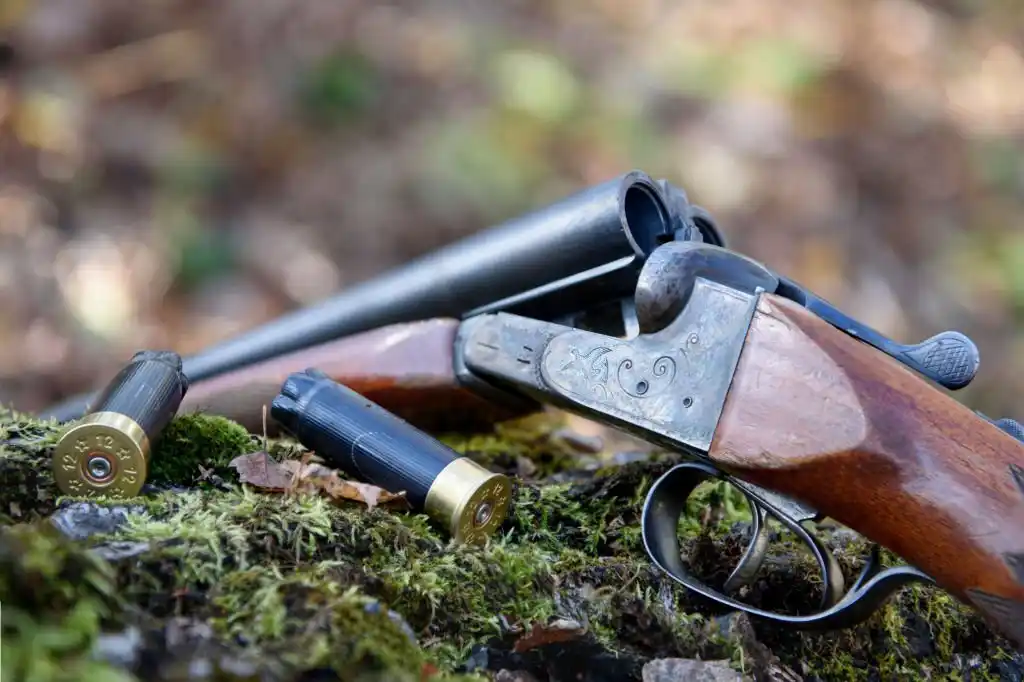 top hunting guns to try