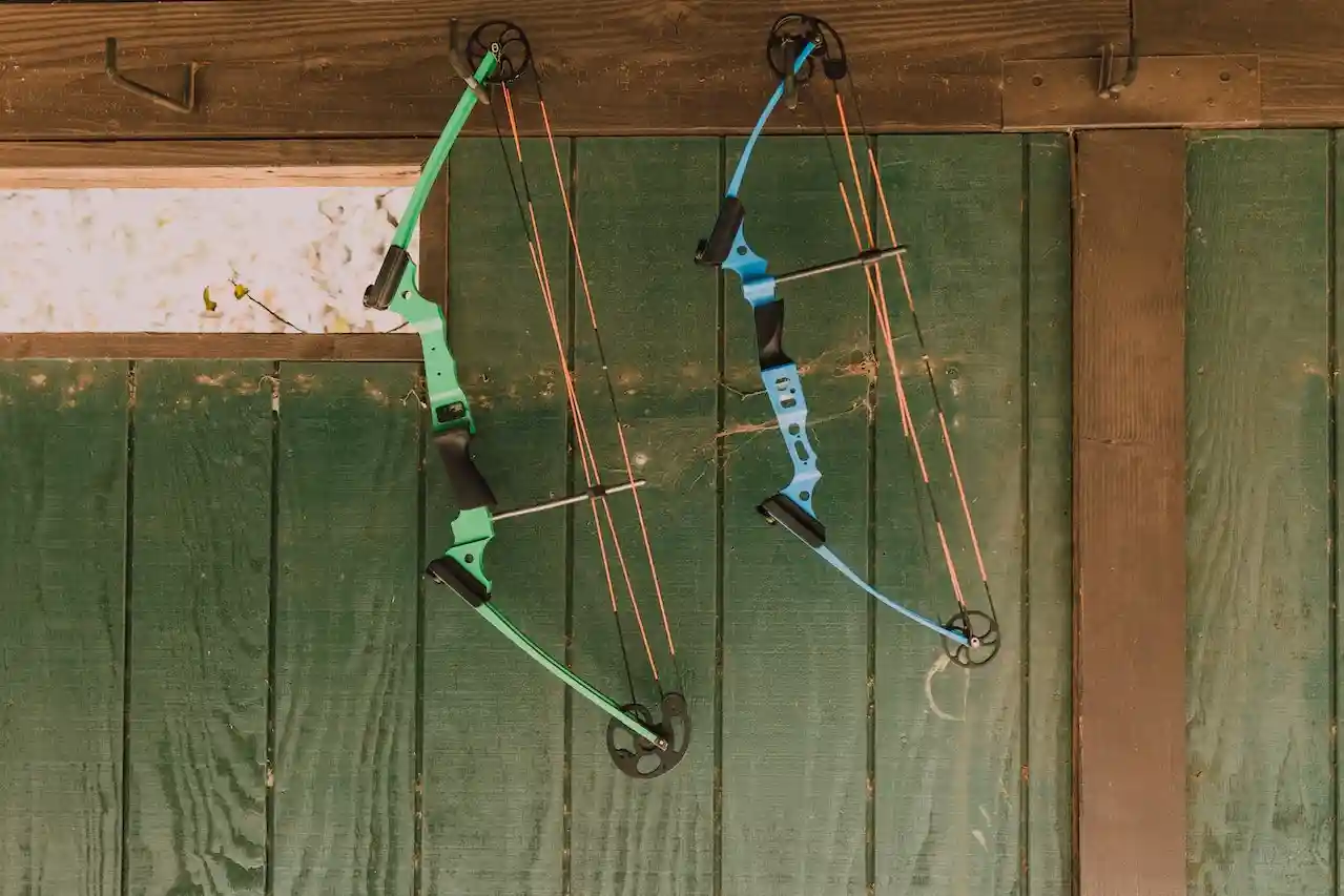 compound bow types for deer hunting